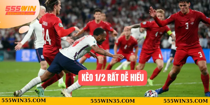 Kèo 1/2 555WIN - Cơ Hội Ăn Tiền Khó Cưỡng Cho Người Mới 1 Kèo 1/2 rất dễ hiểu