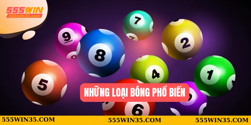 Bóng Lô Đề 555WIN - Tuyệt Chiêu Soi Cầu Trúng Lớn Mỗi Ngày 2 Những loại bóng phổ biến