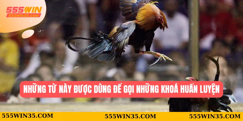Những từ này được dùng để gọi những khoá huấn luyện